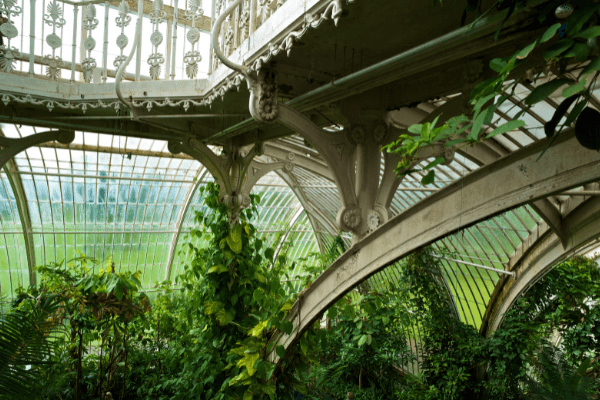 Kew Garden Min